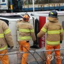 선거 농로 이미지