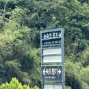 숲속의향기 | 광주근교 계곡 담양 백숙 맛집 용흥사 숲속의향기 솔직후기
