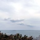 봉꾸라주