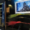 해리네 포터 이미지