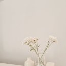 온브로우