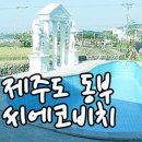 씨에코비치 이미지