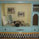 큐티애견 이미지