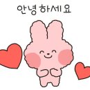 소문난손칼국수 이미지