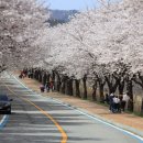 소이체육공원 이미지