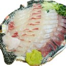 구리농수산물종합시장 수산동 | 구리 농수산물시장 방어 회포장 또또와수산 내돈내산