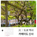 매산로테마거리상점가 | 도쿄 여행 추천 스카이트리가 보이는 등나무 축제 카메이도 텐진 방문 후기
