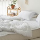 코코세탁 이미지