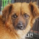 장천우리약국 이미지