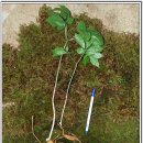 매포중학교 앞 이미지