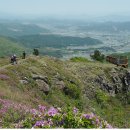 제373차 보성,장흥 제암산,사자산 정기산행 안내합니다. 이미지