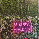 슈가 | 여수수영장펜션 슈가브리움 내돈내산후기