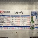 호야네집