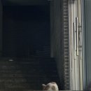 수색-019 | 이음티하우스 5주년 티 라운지