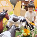 🐮🌾 신나는 동물농장🌾🐷 이미지