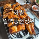 풍천민물장어 | 화명동 맛집 일백 풍천민물장어 후기