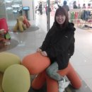 쇼핑홀릭 네이버블로그