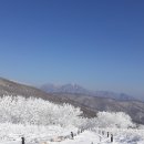 곰배령