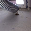 (주)양천환경 노동조합 | 인천 주상복합 아파트 원룸 바퀴벌레 해충 퇴치업체 원인 파악 후기