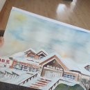 화이트 스포츠 이미지