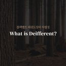 블랙벨트태권도장 이미지