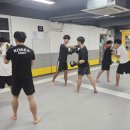 팀크로우 MMA 이미지