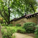 인도변 화단 이미지