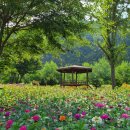 예밀포도마을팜스테이영농조합법인 이미지