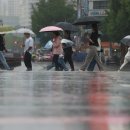 956 경기일보