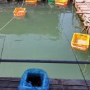 달빛좌대 이미지