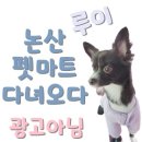 논산펫마트