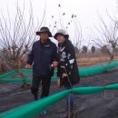 예스 팜 이미지