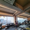 팔층피티