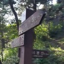 장성중앙초등학교 이미지