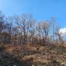 곤지암읍-11 이미지