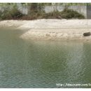 아곡낚시터 이미지