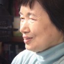대산나무병원 이미지