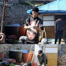 삼시세끼 이미지