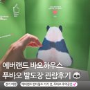 바오하우스 에버랜드 관람후기 판다월드 가기 전 푸바오굿즈 귀여워