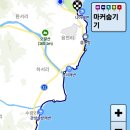 나아 Daum카페