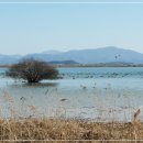 주남저수지 이미지