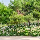 내리1길 이미지