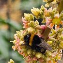 구원농장 이미지