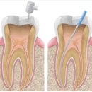 수원탑플란트치과의원 이미지