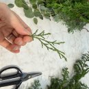 선유서로 | 영등포 꽃집 트레플 크리스마스 스와그 원데이클래스 후기