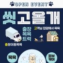 씻고올개 이미지