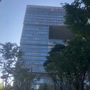 종합운동장 가로수길 이미지