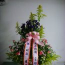 대양물류 이미지