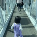 효원목장 | 꼬숑 아기옷) 꼬숑 빙고 라벤더 키키블라썸 반팔티 러브티 nap 반팔티 버터 수영복 후기