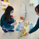 펫슨조이 이미지